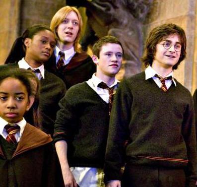Angelina Johnson Harry Potter に関する小説の性格