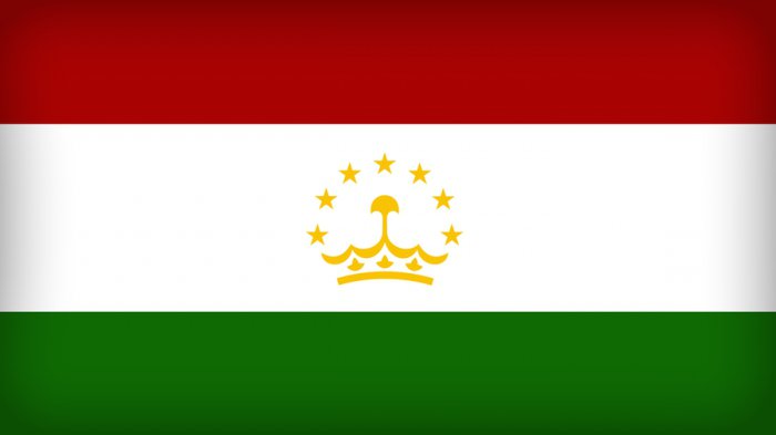 ハンガリーの国旗：説明、歴史