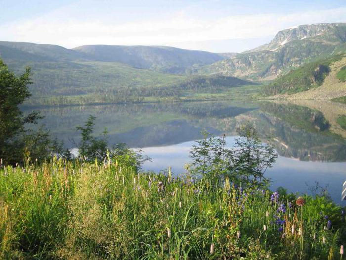 ケメロヴォ地方の湖：絵のような場所で休日を過ごす