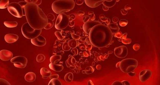 血液中のROE：規範、増加、過小評価